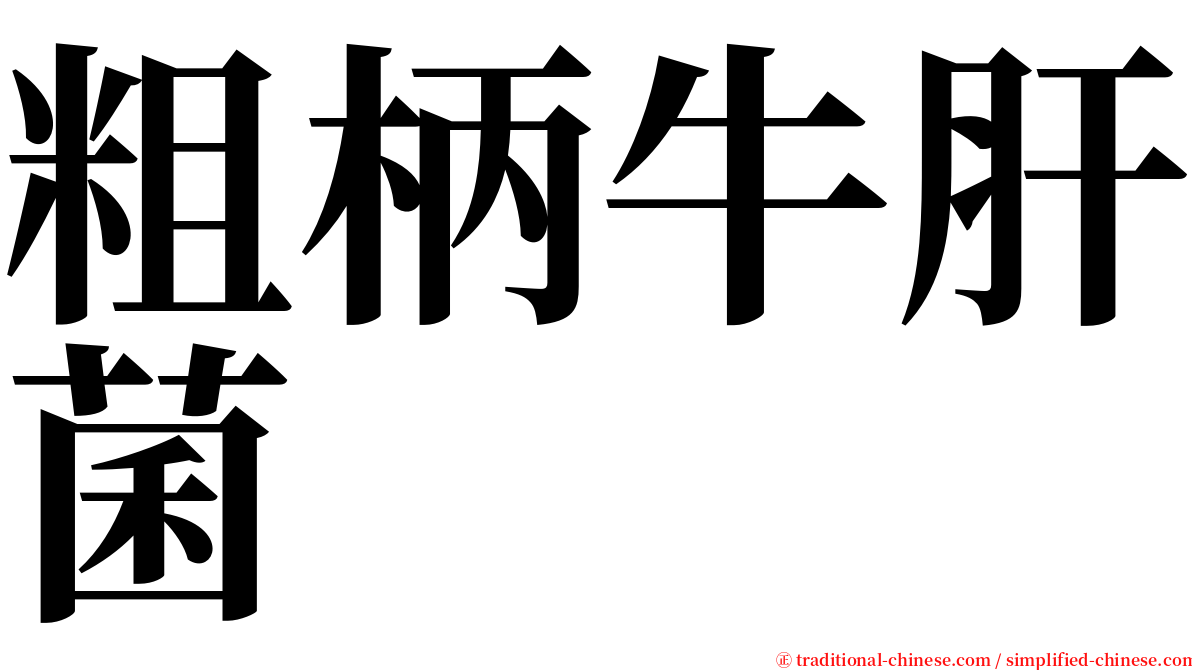 粗柄牛肝菌 serif font