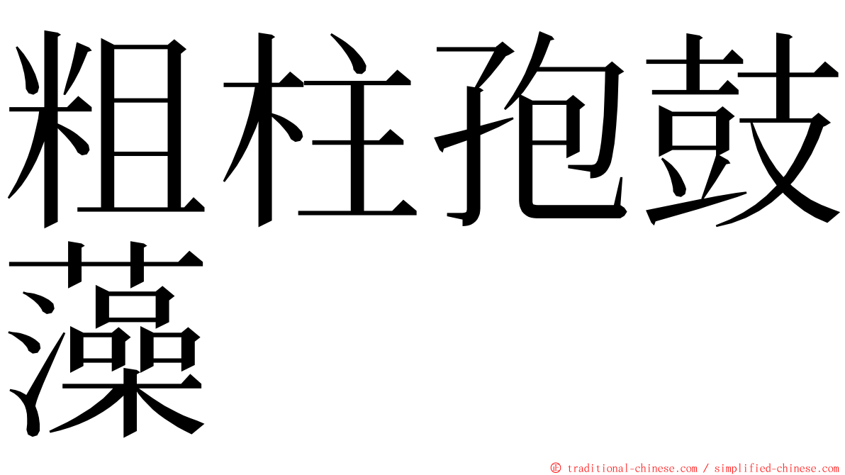 粗柱孢鼓藻 ming font