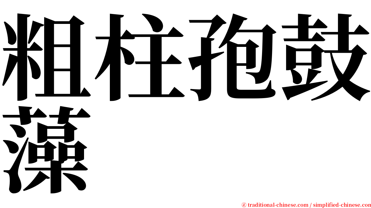 粗柱孢鼓藻 serif font