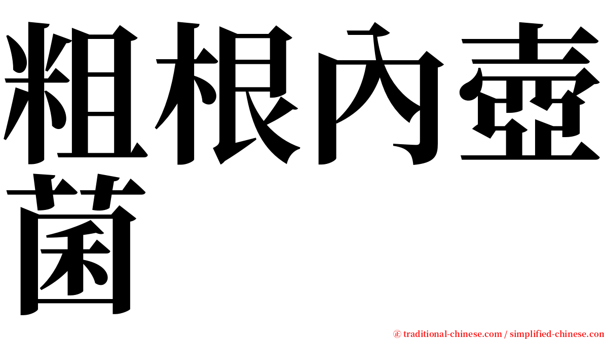 粗根內壺菌 serif font