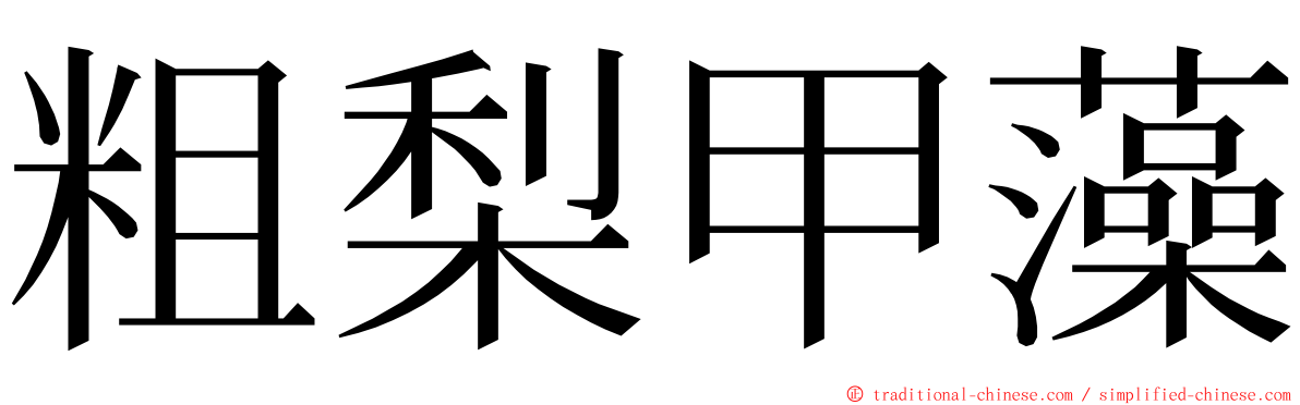 粗梨甲藻 ming font