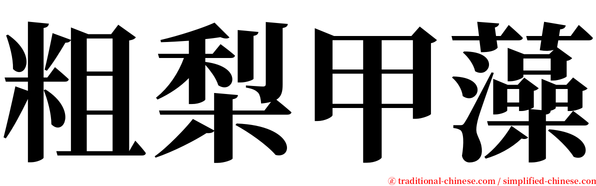 粗梨甲藻 serif font