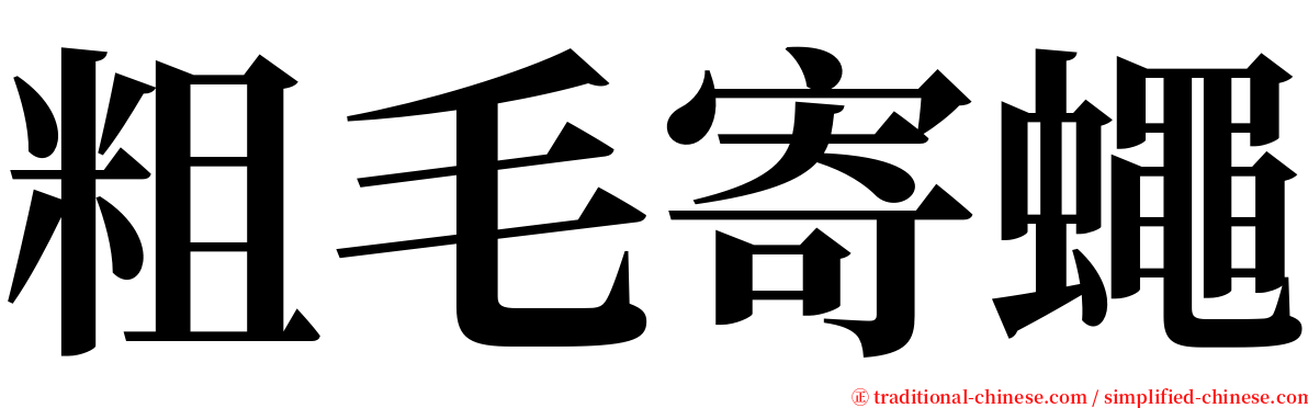 粗毛寄蠅 serif font