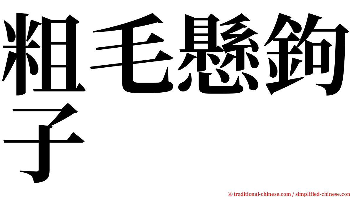 粗毛懸鉤子 serif font