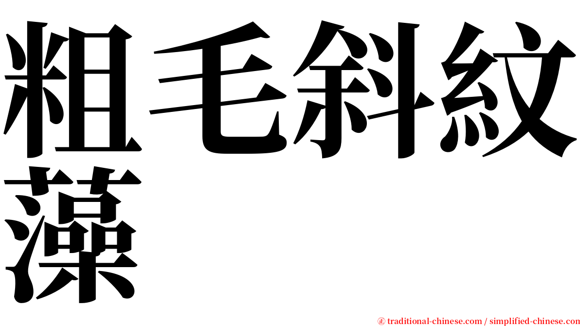 粗毛斜紋藻 serif font