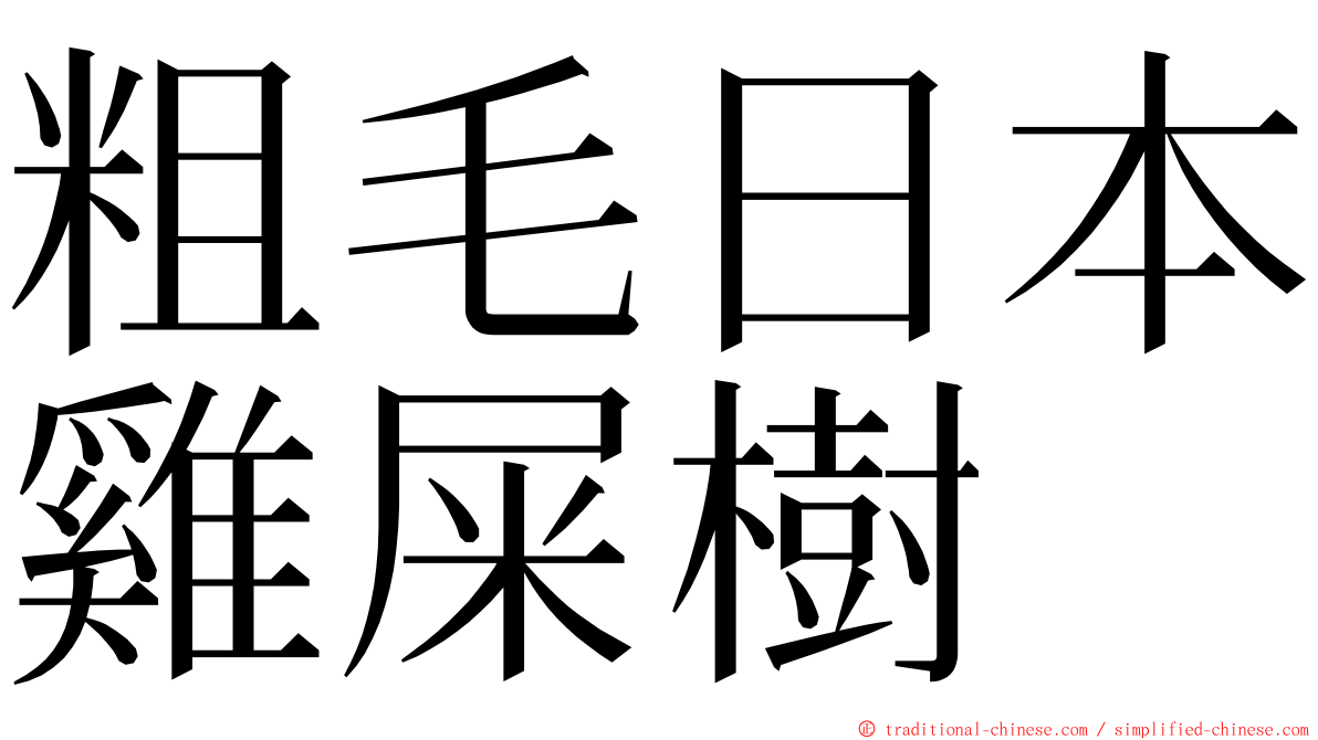 粗毛日本雞屎樹 ming font