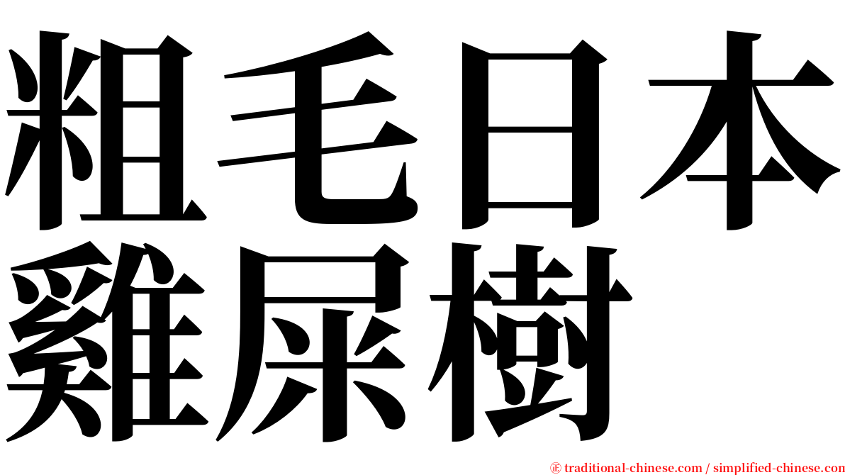 粗毛日本雞屎樹 serif font