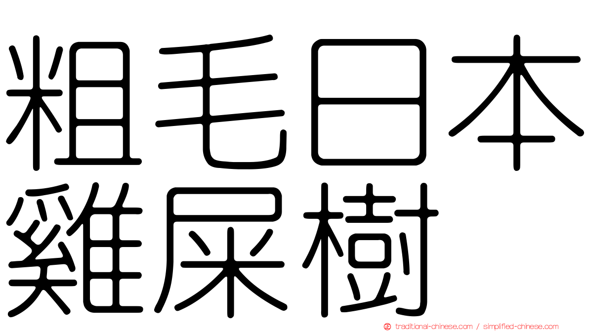 粗毛日本雞屎樹