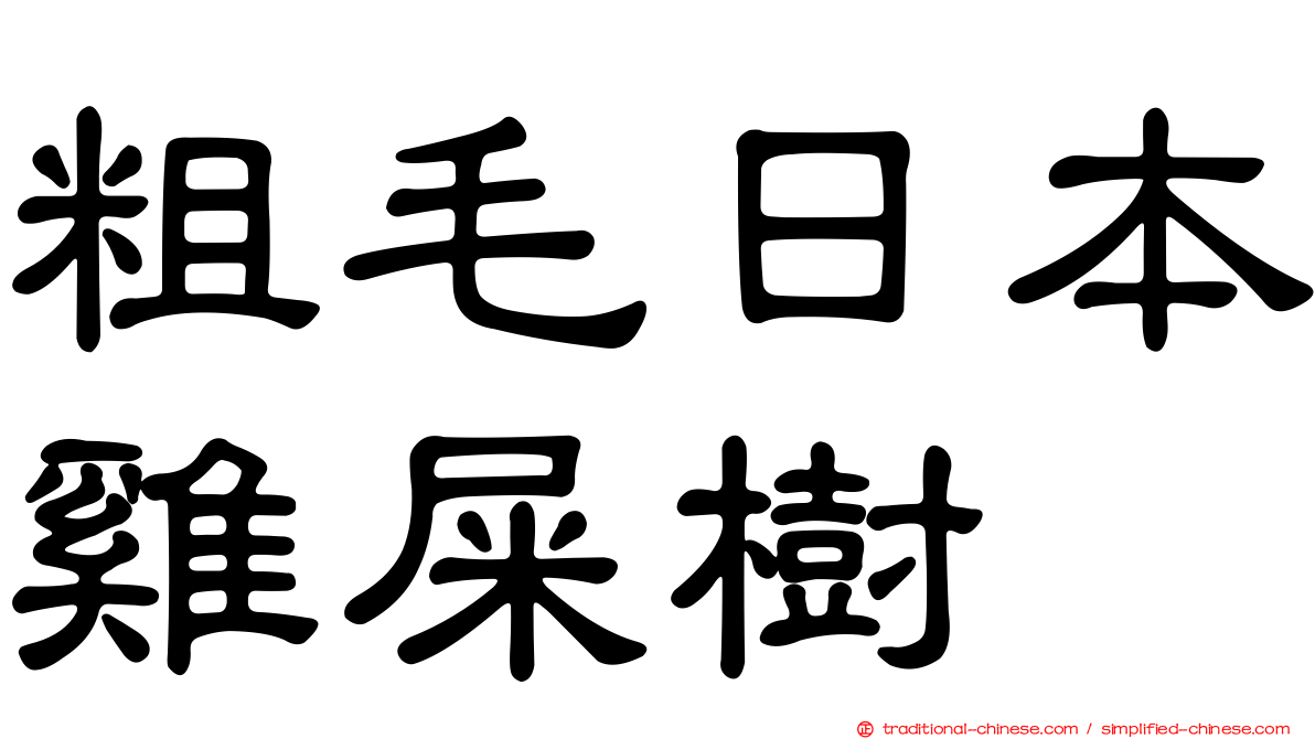 粗毛日本雞屎樹