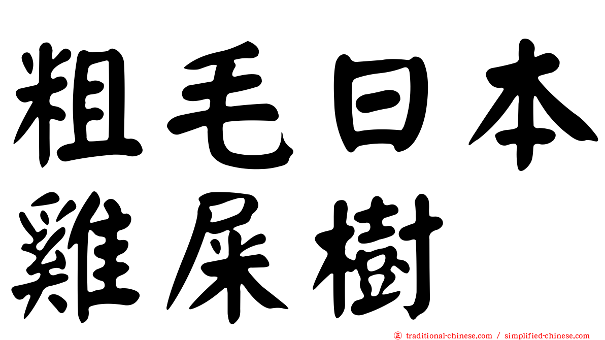 粗毛日本雞屎樹