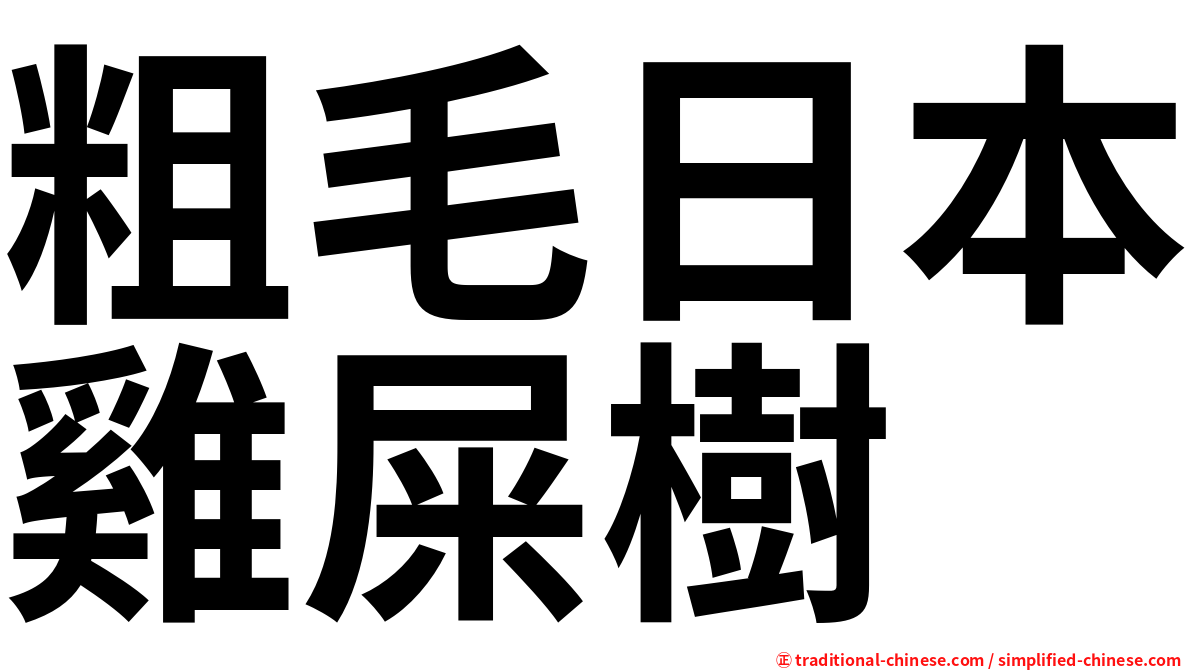 粗毛日本雞屎樹