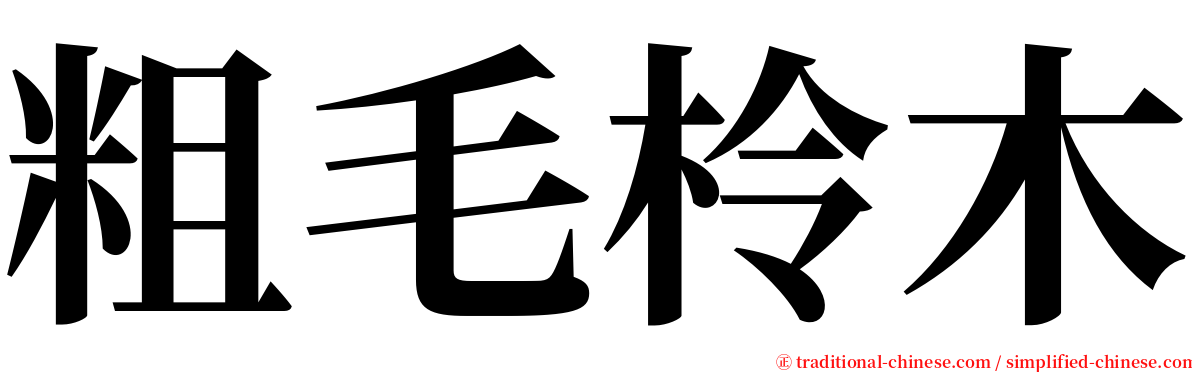 粗毛柃木 serif font