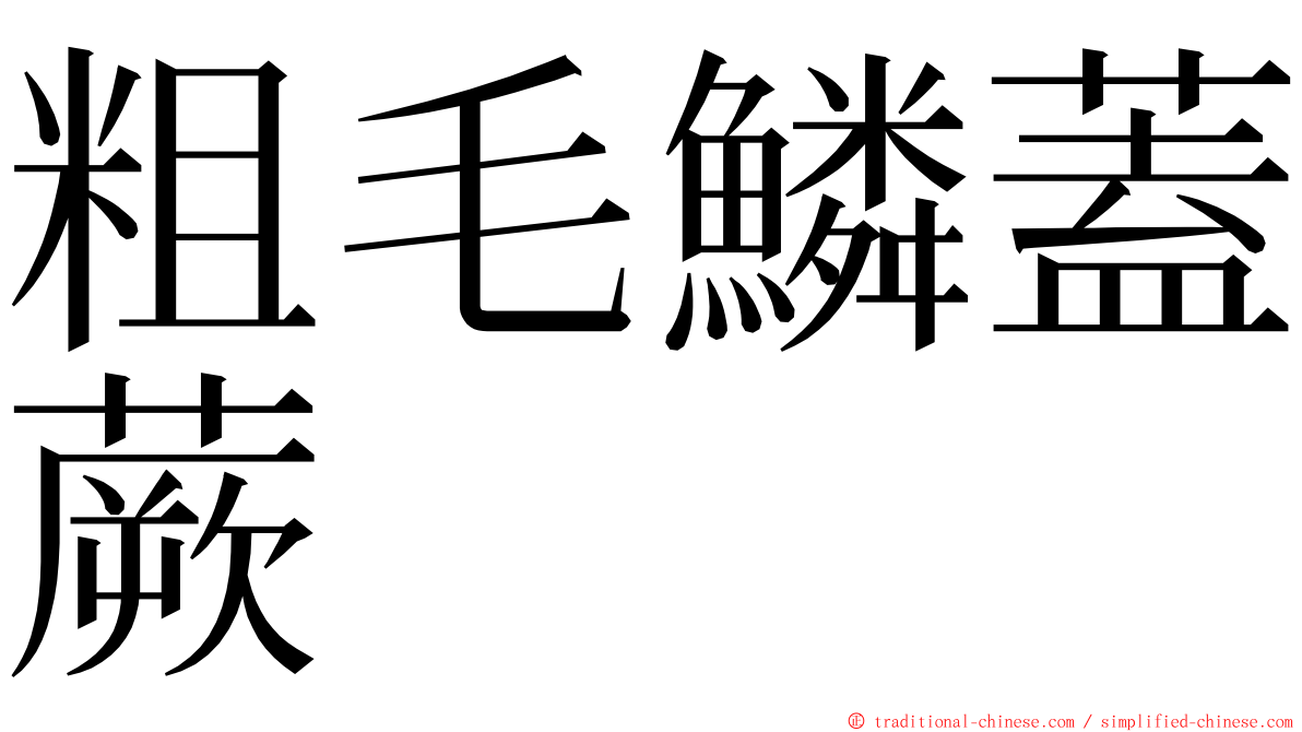 粗毛鱗蓋蕨 ming font