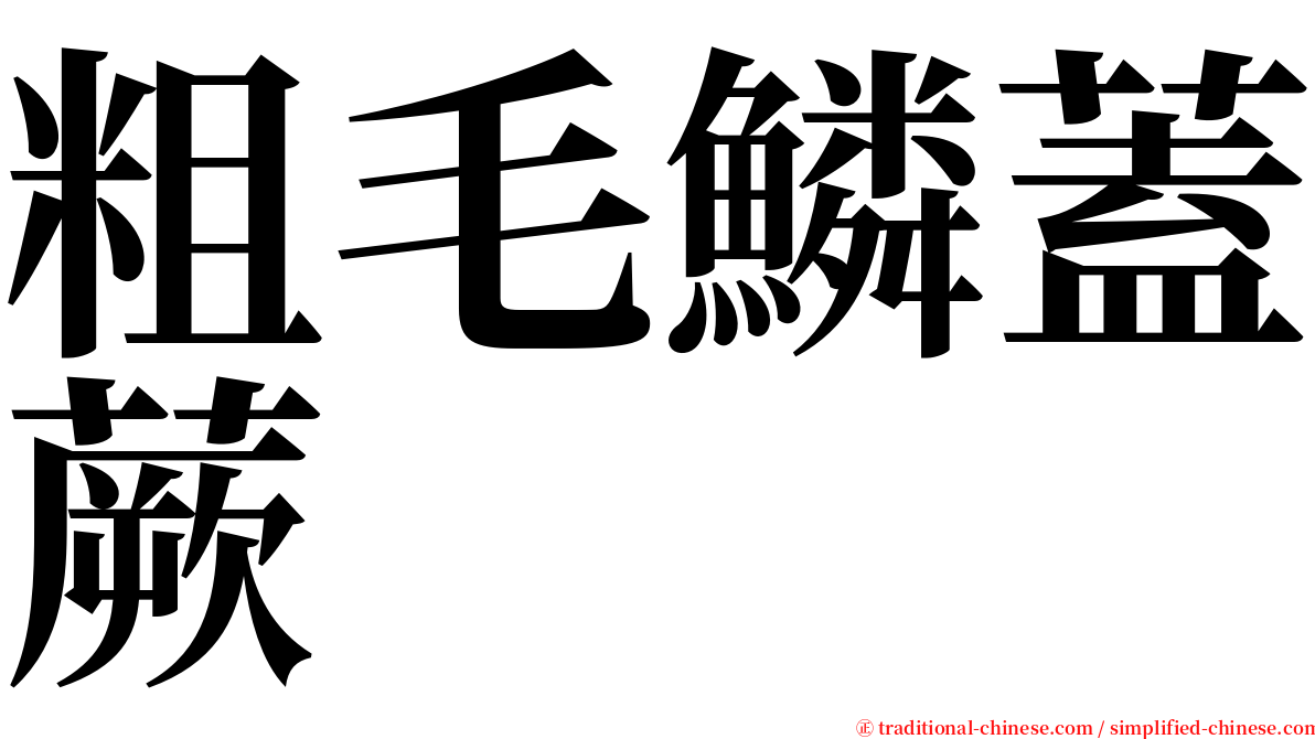 粗毛鱗蓋蕨 serif font