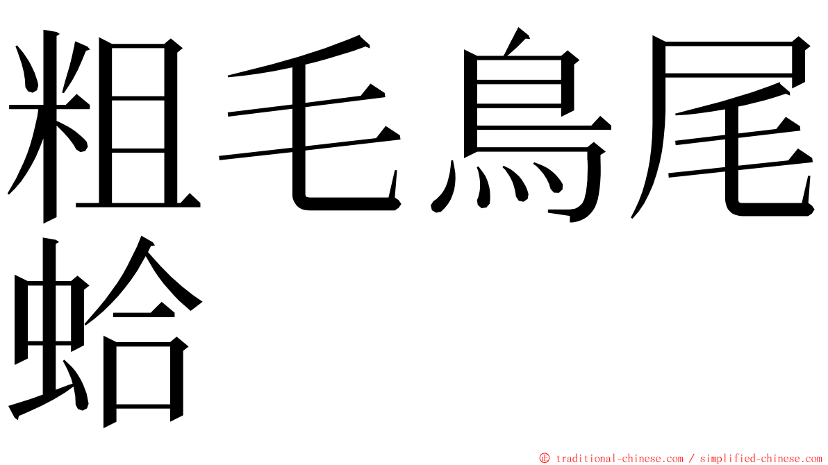 粗毛鳥尾蛤 ming font