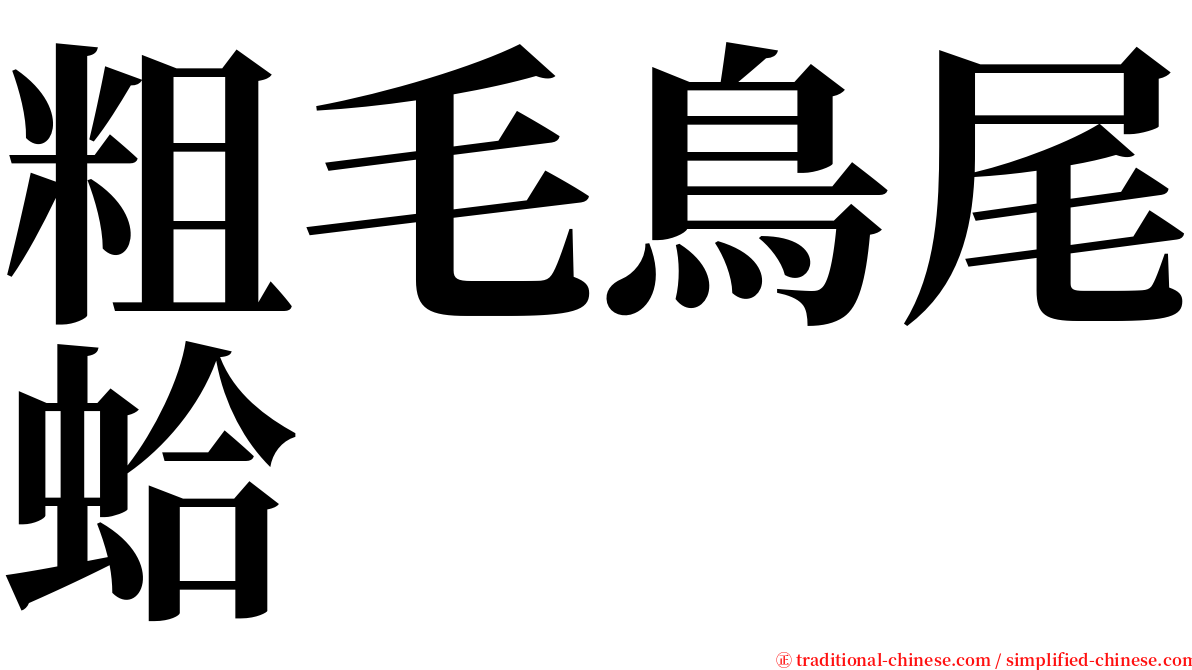 粗毛鳥尾蛤 serif font