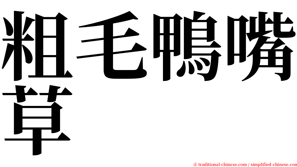 粗毛鴨嘴草 serif font