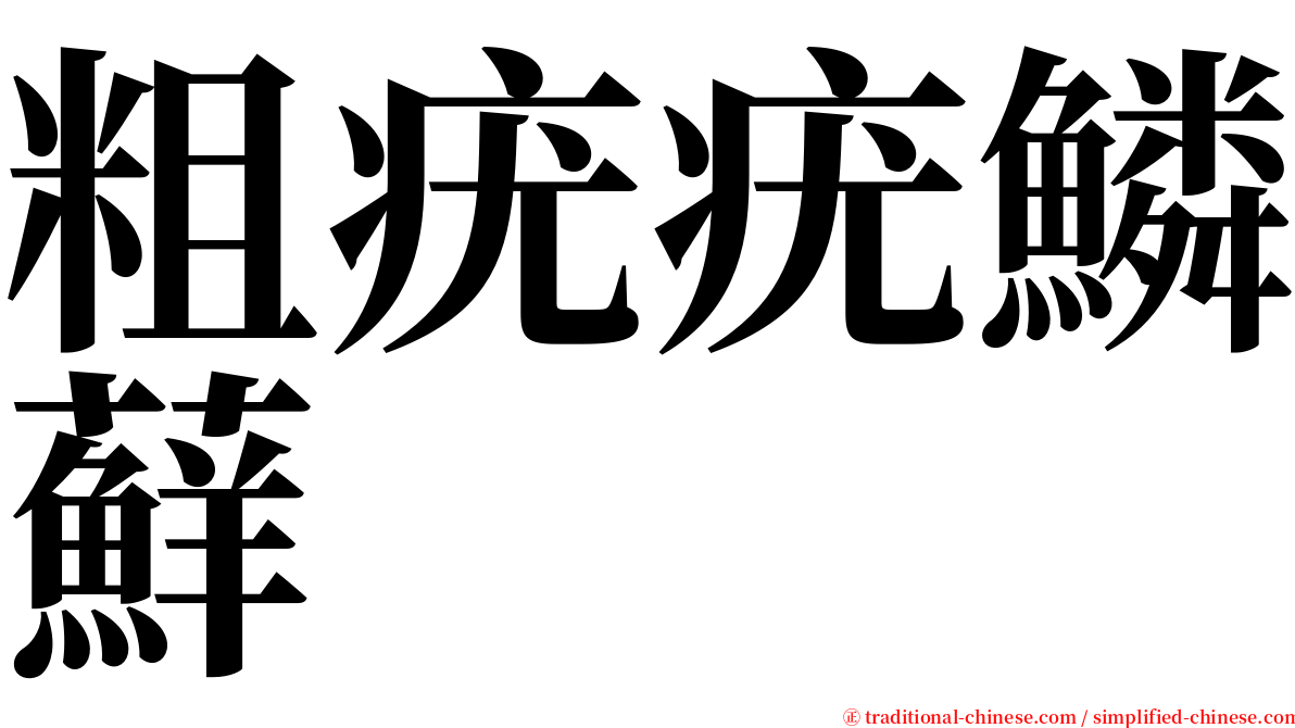 粗疣疣鱗蘚 serif font