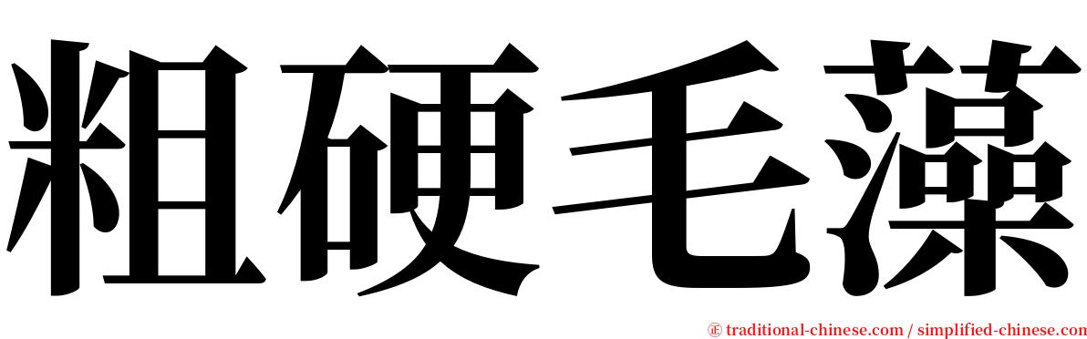 粗硬毛藻 serif font