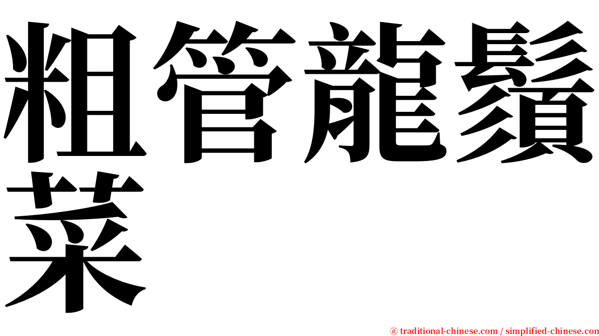 粗管龍鬚菜 serif font