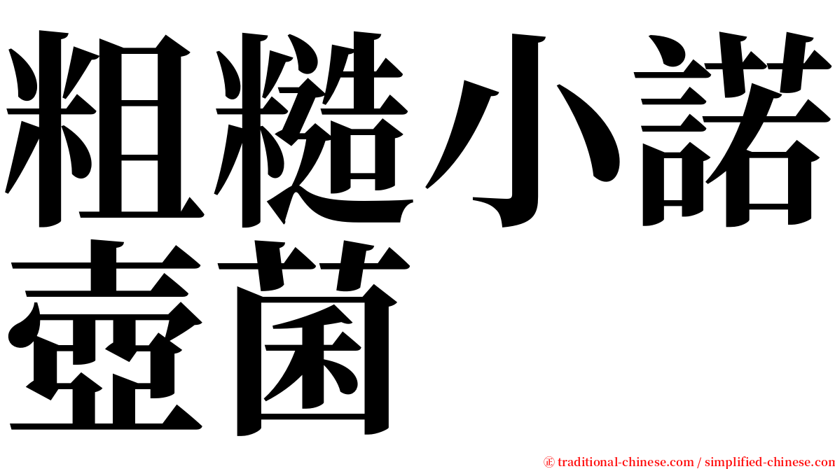 粗糙小諾壺菌 serif font