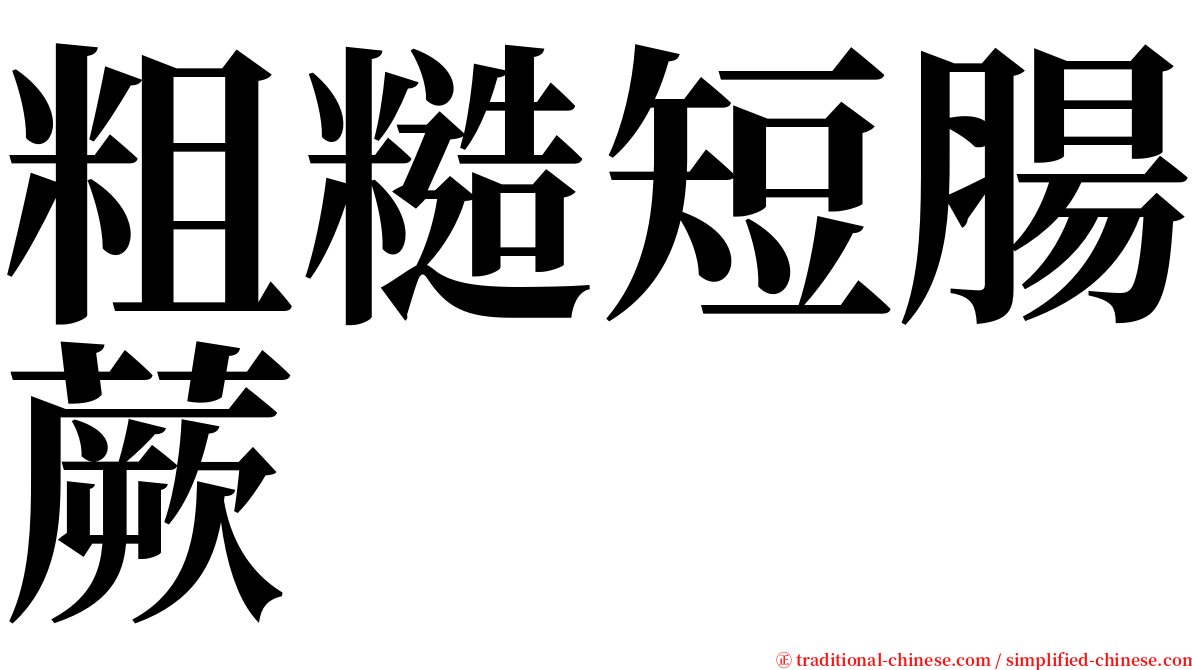 粗糙短腸蕨 serif font