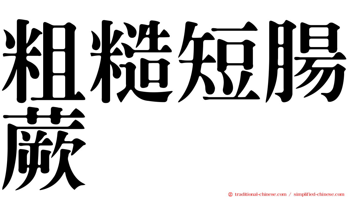 粗糙短腸蕨