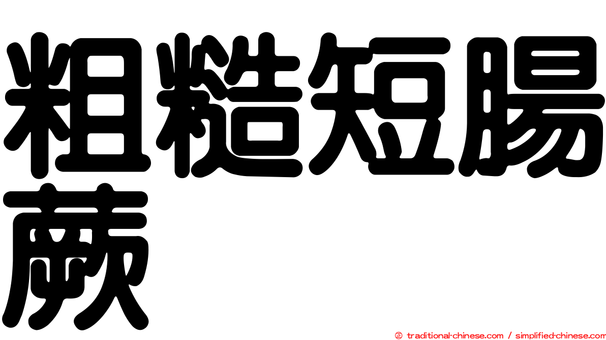 粗糙短腸蕨
