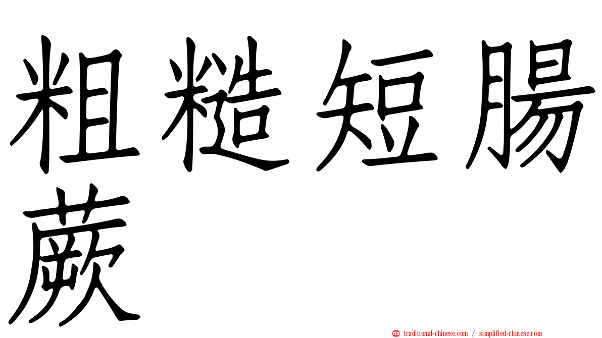 粗糙短腸蕨
