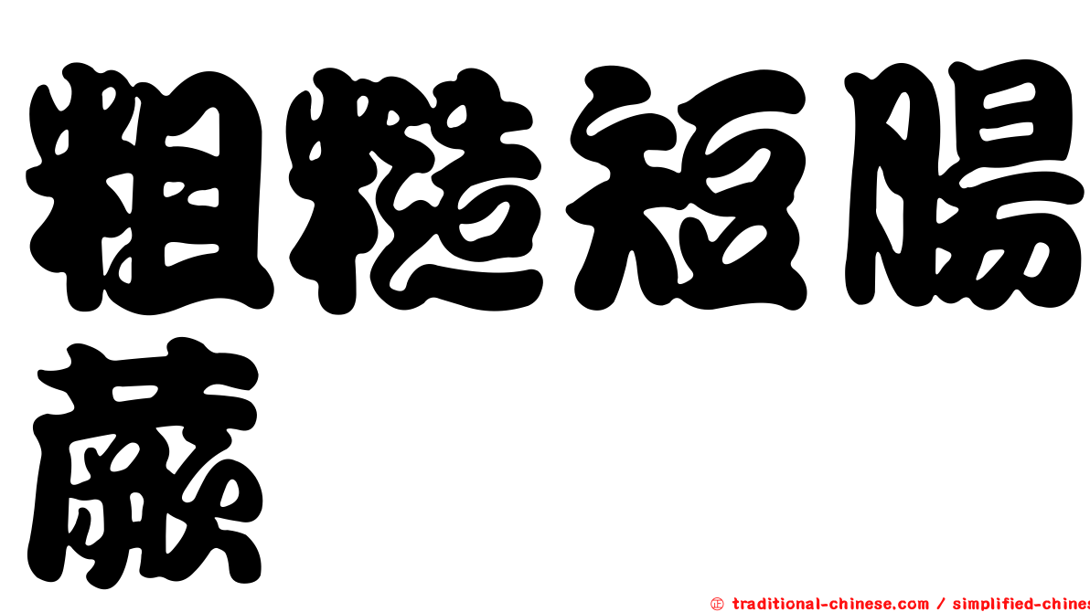 粗糙短腸蕨