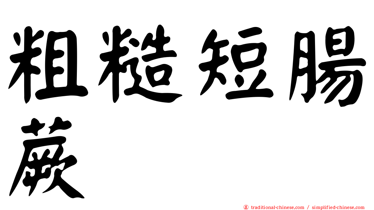 粗糙短腸蕨