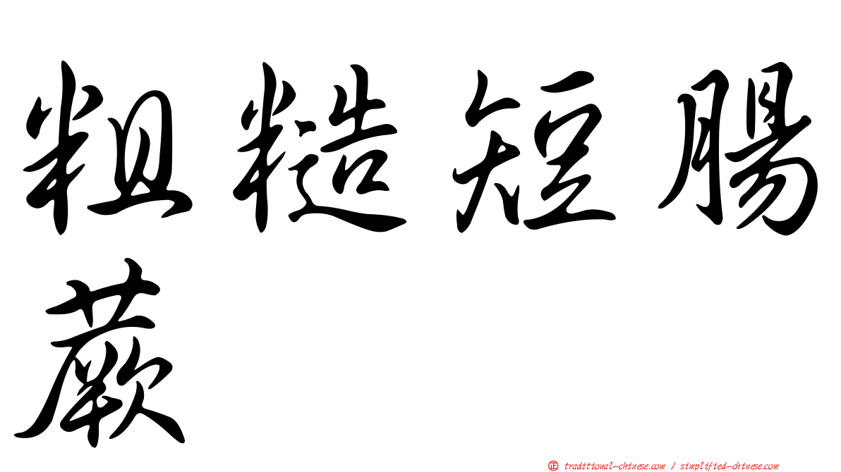 粗糙短腸蕨