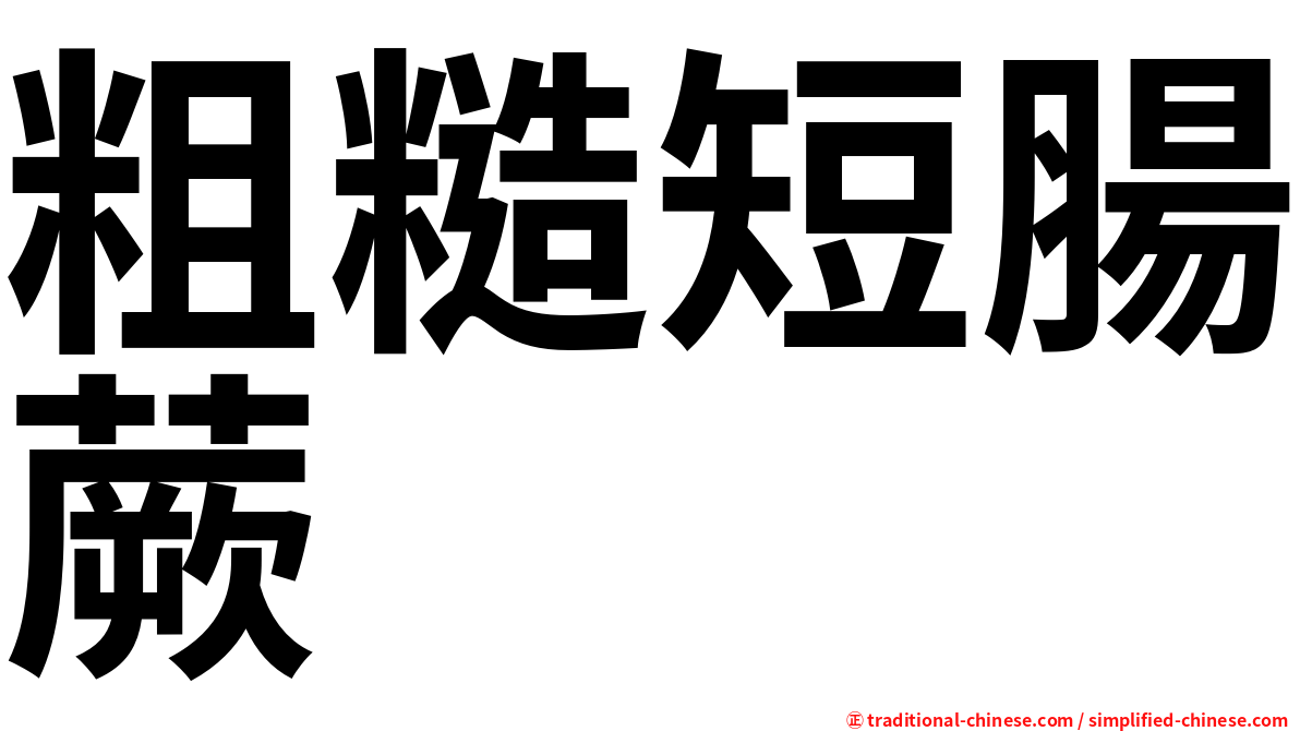 粗糙短腸蕨