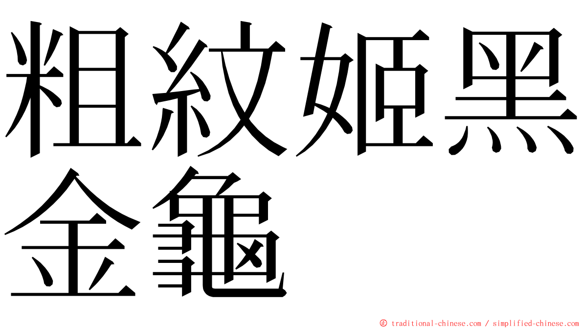 粗紋姬黑金龜 ming font