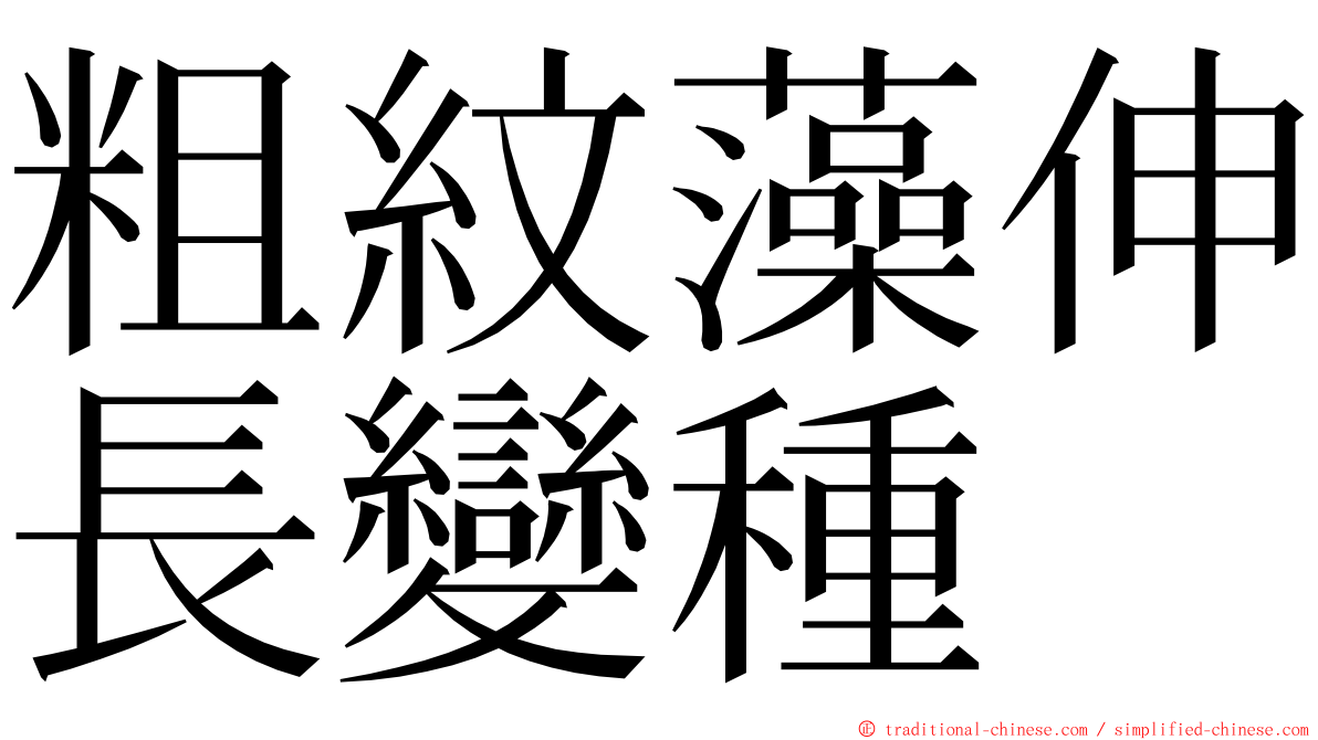 粗紋藻伸長變種 ming font