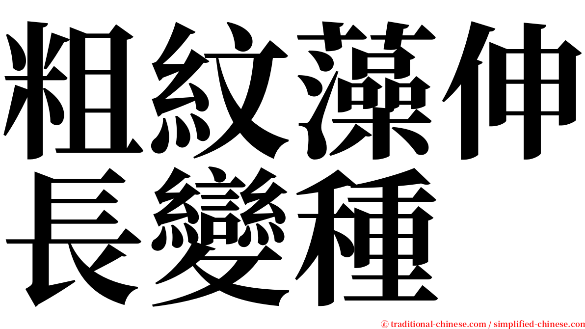 粗紋藻伸長變種 serif font