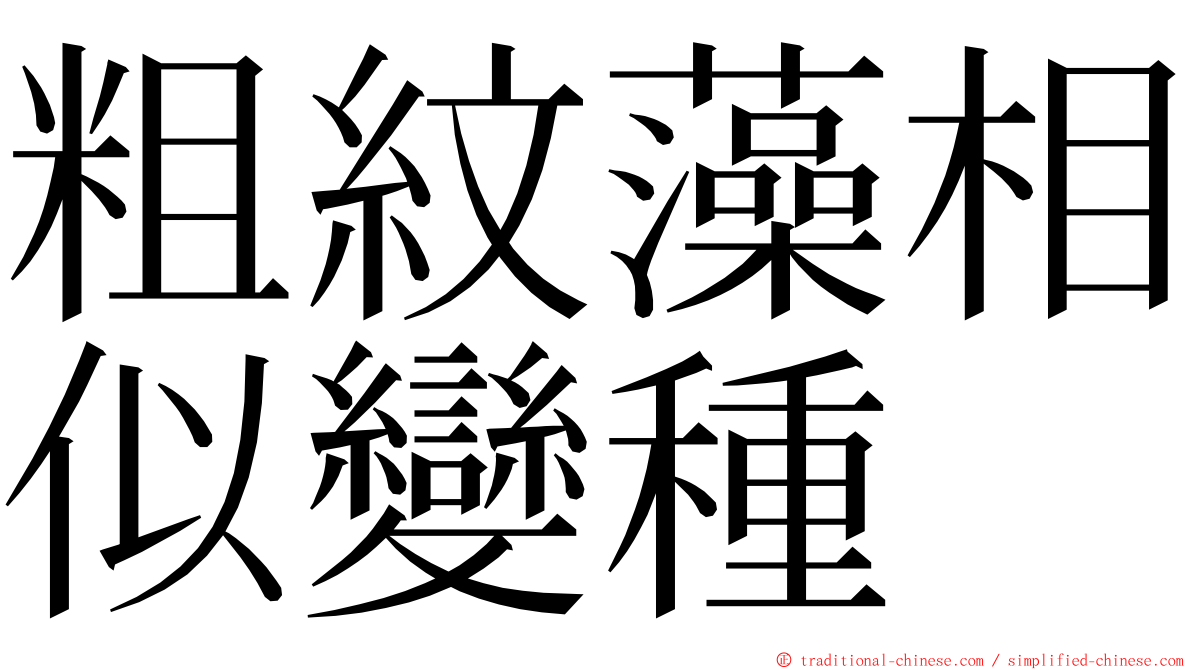 粗紋藻相似變種 ming font