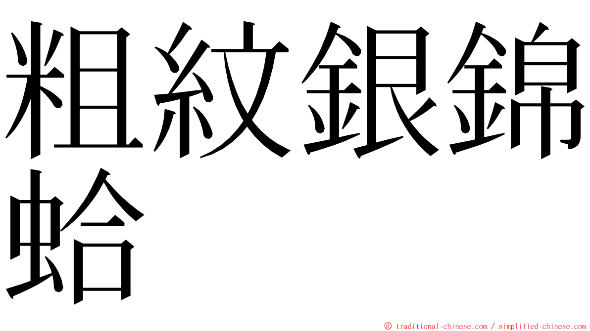 粗紋銀錦蛤 ming font