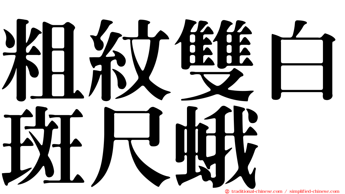 粗紋雙白斑尺蛾