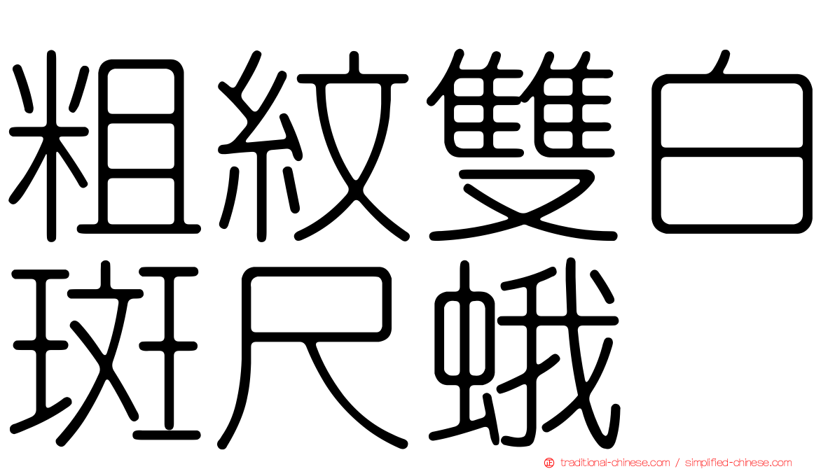 粗紋雙白斑尺蛾