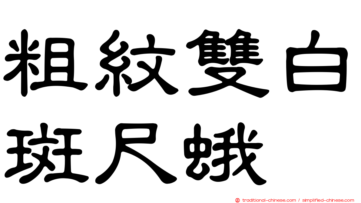 粗紋雙白斑尺蛾