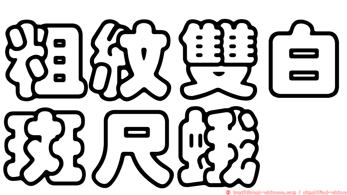 粗紋雙白斑尺蛾