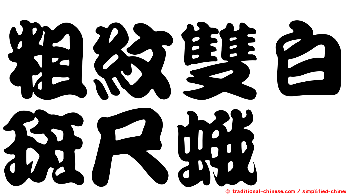 粗紋雙白斑尺蛾