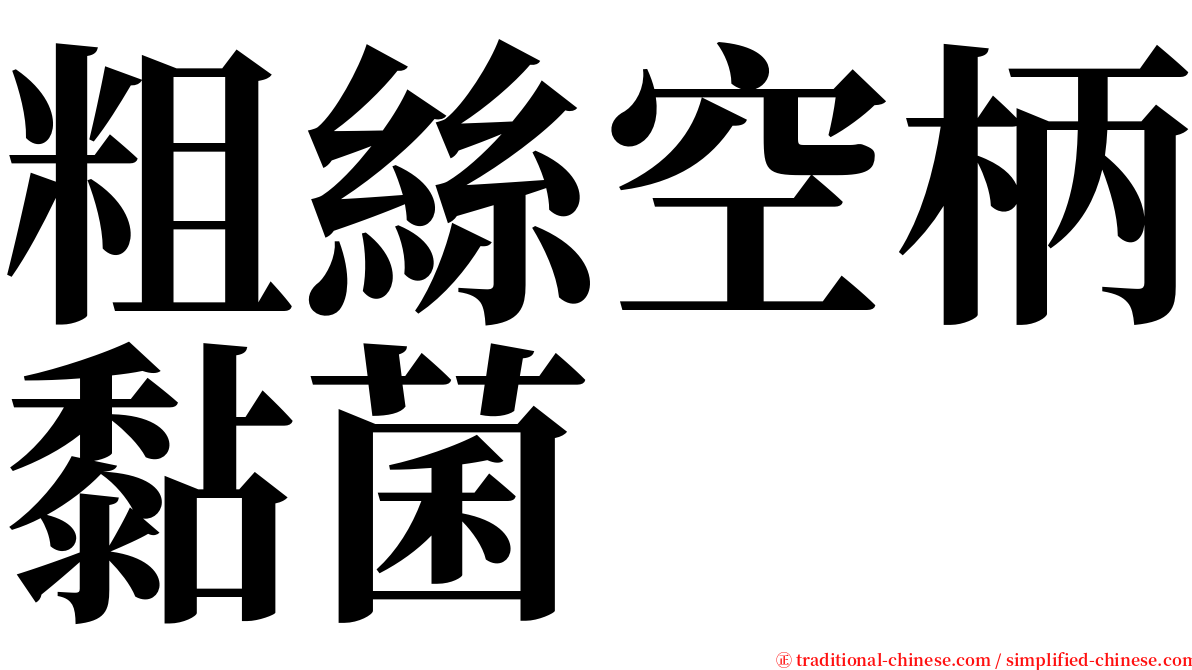 粗絲空柄黏菌 serif font