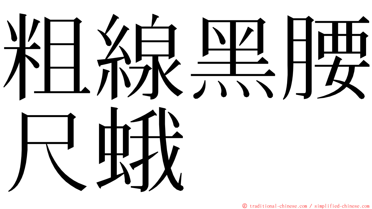 粗線黑腰尺蛾 ming font