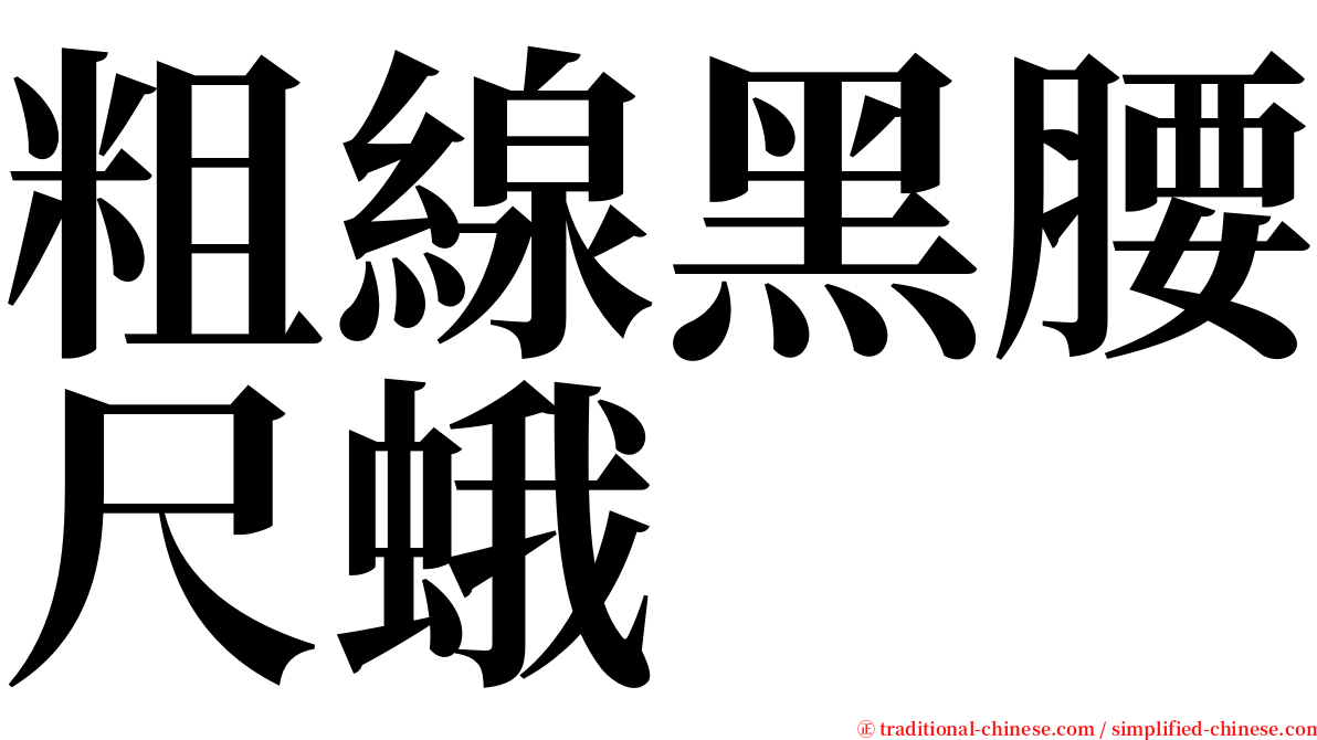 粗線黑腰尺蛾 serif font