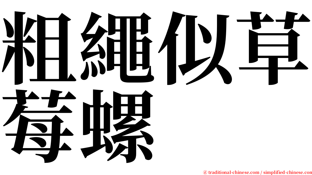 粗繩似草莓螺 serif font