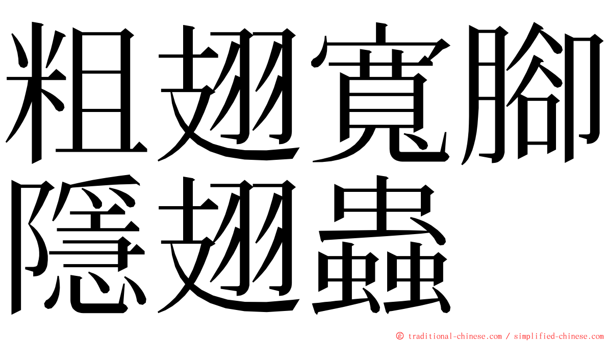 粗翅寬腳隱翅蟲 ming font