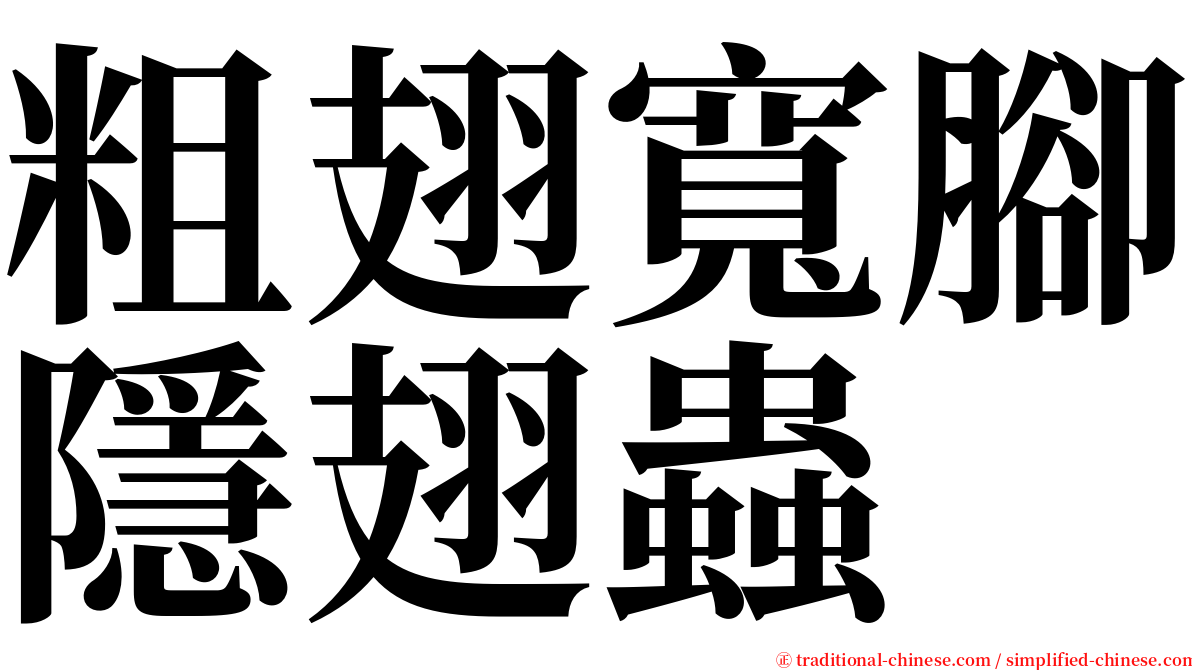 粗翅寬腳隱翅蟲 serif font