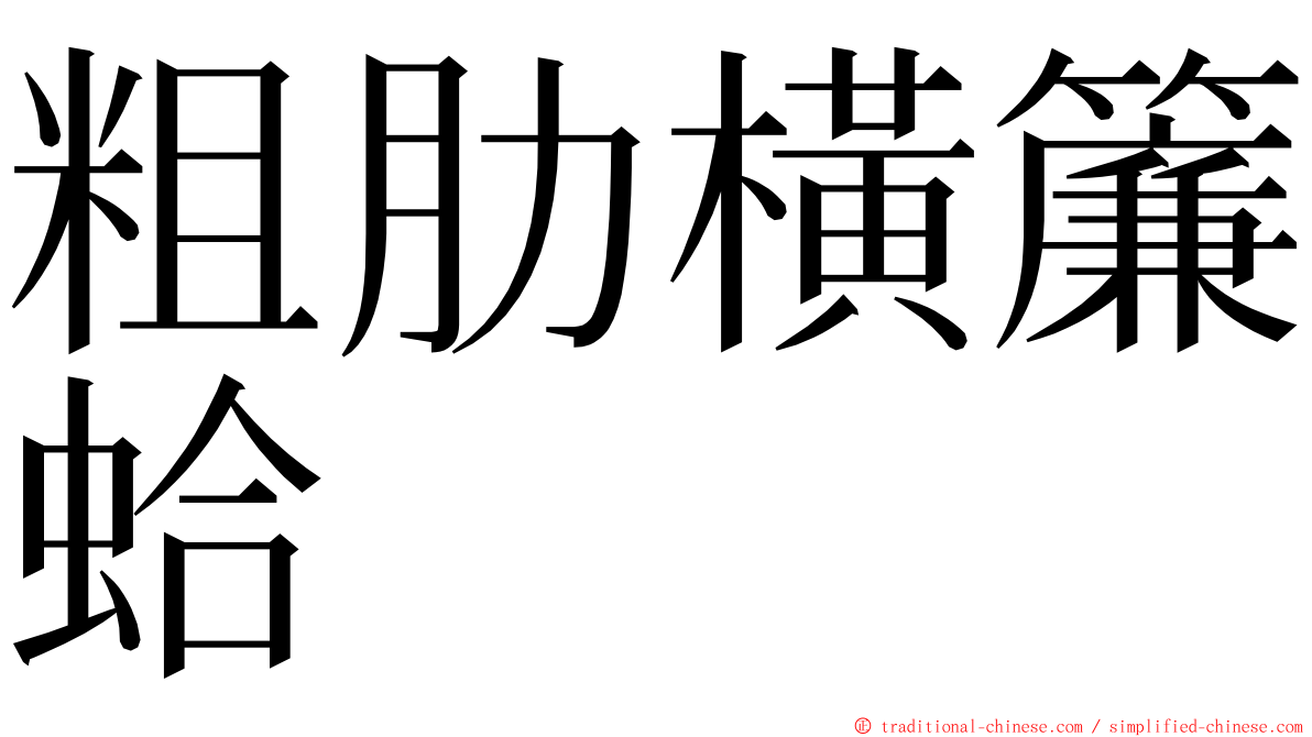 粗肋橫簾蛤 ming font